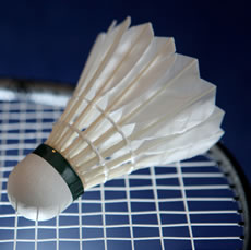 Badminton Bird