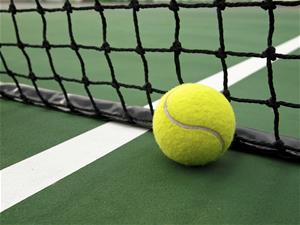 tennis-ball-net